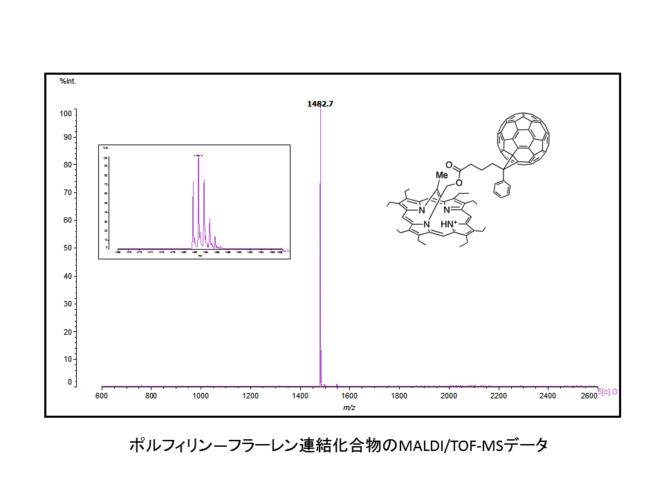 MALDI/TOF-MSデータ